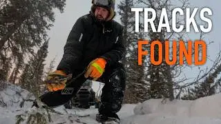 Winter Trapping in Alaska | Reading Tracks and Setting Traps