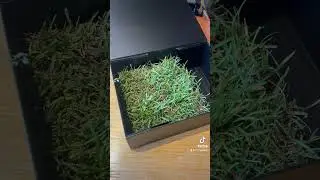 gamer grounding #touchgrass