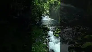 Focus Music for Work and Studying, Background Productivity Music