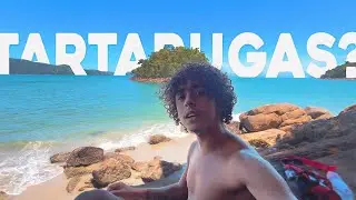 Essa ilha em Ubatuba não precisa de barco (e tem tartarugas!) | Ubatuba EP. 03