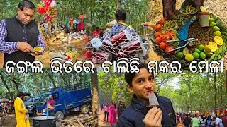 ମାମୁଁ ଭଣଜା ଜଙ୍ଗଲ ଭିତରେ ମକର ମେଳା l Makara Mela, Cuttack l Gouranga Nayak Odia Vlogs