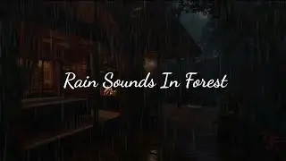 Night Rain Sounds in Forest 🌧️ | Sleep Fast Tonight