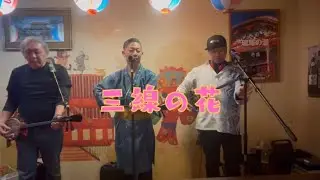 三線の花/BEGIN(cover) チームシーサーズ@沖縄食堂シーサーズ