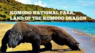 VISIT!!! Komodo National Park A World Heritage Site