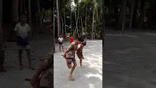Fun cock fighting game for kids