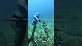 Pole Spear Hunting for Big Groupers! #fishing #spearfishing