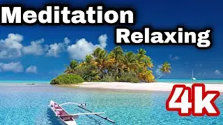 Natural Mind Relief Meditation Relaxing Video || Best Meditation Relaxing Video || By Mind Pharmacy