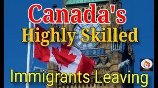 Canada&rsquo;s Highly Skilled Immigrants Leaving the Fastest Canada Immigration 🍁🌐🌎