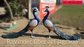 Peacock statue in frp size 2' any statues customized.. ravinder fiber art jagraon