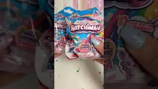 Hatchimals Family Surprise!