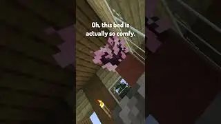 Типы игроков в VR Minecraft