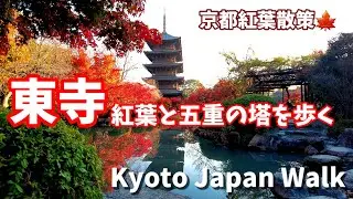 11/26(土)京都紅葉散策🍁【4K】夕日に映える五重の塔の東寺を歩く/Kyoto Japan walk!