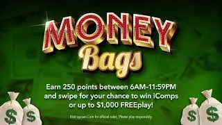 Money Bags Game Plasma
