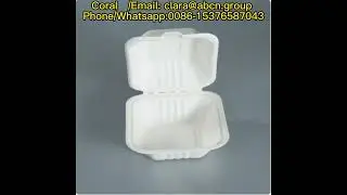 PS GPPS Foam food box machine/PS food container machinery manufacture / +86 15376587043