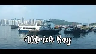 Aldrich Bay Sai Wan Ho | MaryLords Caamino