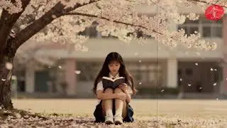 🔴1980s Taiwan Campus Love Songs | Original Music Medley | University Romance & Memories(Live Lyrics)