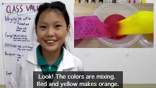 Walking water rainbow - The Knowledge Knights