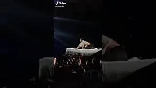 Crowd surfing moments with 21 Pilots 🏄 #crowdsurfing #livemusic #concertlife #21pilots