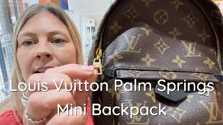 Louis Vuitton Palm Springs Mini backpack Review