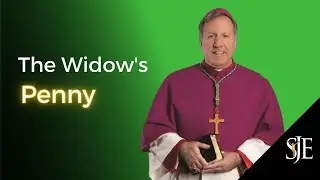 The Widow's Penny | Bishop McClory's Sunday Homily - November 7th, 2021