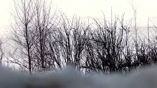 Talsperre Rauschenbach in der Winteridylle