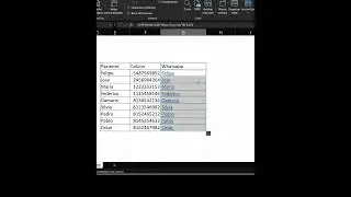 Env&iacute;a WHATSAPP desde EXCEL #Excel #productividad