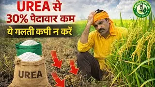 “Is galti se 30% yield kam ho jaati hai |“Hari fasal ke peeche chhupa sach | Urea ka sach” 