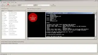 D2 Exploitation Pack - Lotus Notes server exploitation