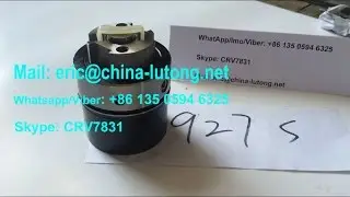 927S Lucas Delphi head rotor for injection pump replacement from China