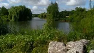 Welcome to XLCarp (Fryerning Fishers). Presented by Joe Morgan & Adam Penning - Part 1