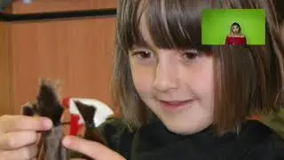 Donate Your Hair for Cancer Patients - Non Profit
