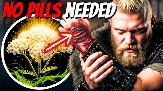 This Viking Pain System Worked Better Than Modern Pills