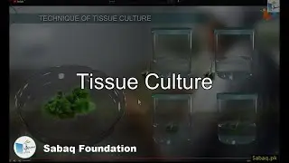 Tissue Culture, Biology Lecture | Sabaq.pk