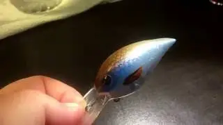 In Production This Week At Jekyll Bait Company