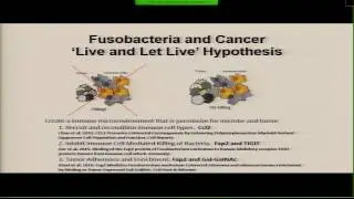 Wendy Garrett - Fusobacterium nucleatum and colorectal carcinogenesis