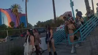 EDC Las Vegas 2024 | Shuttle Entrance