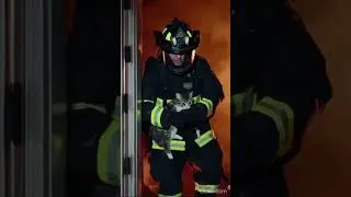 Cat rescue video