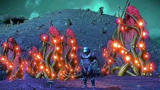 No Man's Sky | Liquidators Expedition 14 | Phase 2