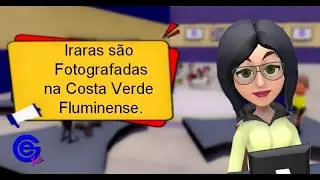Iraras s&atilde;o Fotografadas na Costa Verde Fluminense.
