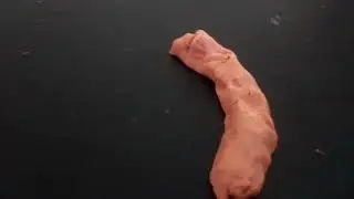 wormy disease
