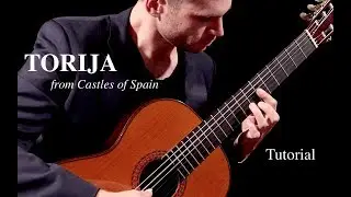 Elite Guitarist - 