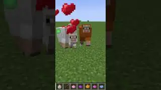WHITE SHEEP + YELLOW SHEEP IN MINECRAFT #shorts