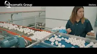 Vencomatic Group: Palletiser 110 - Company interview Désilets