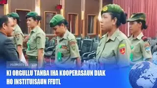 KI ORGULLU TANBA IHA KOOPERASAUN DIAK HO INSTITUISAUN FFDTL