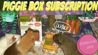 PIGGIE BOX SUBSCRIPTION | FEBRUARY 2021