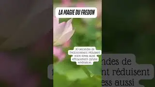 🎵 FREDONNER = M&Eacute;DITER (la science le prouve)