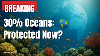 UN Treaty Targets 30% Oceans: Global Marine Protection by 2030