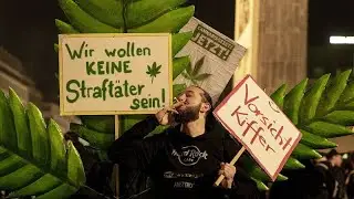 Germany legalises limited amounts of marijuana