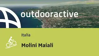 Molini Maiali