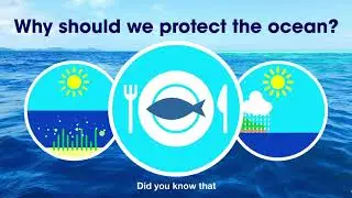 Education and Outreach Series: PNMS - Palau National Marine Sanctuary